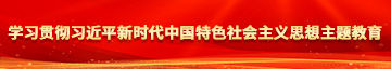 女人的屄网站学习贯彻习近平新时代中国特色社会主义思想主题教育